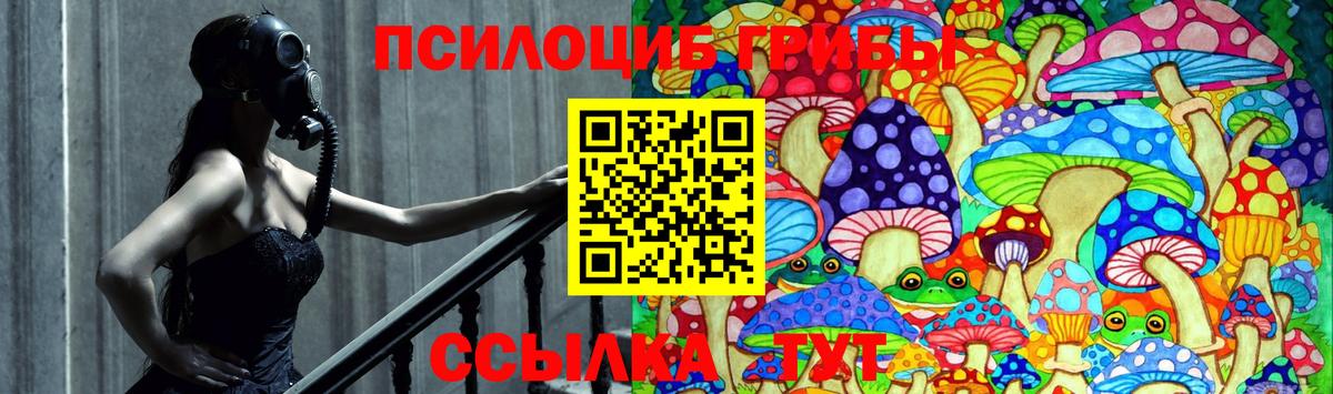Псилоцибиновые грибы Cubensis  Вход с VPN  Белореченск 